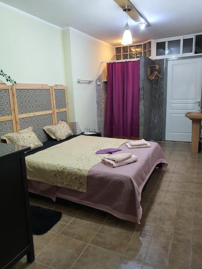 فيلا Casa Alex كوارذامار ذيل سيغورا المظهر الخارجي الصورة