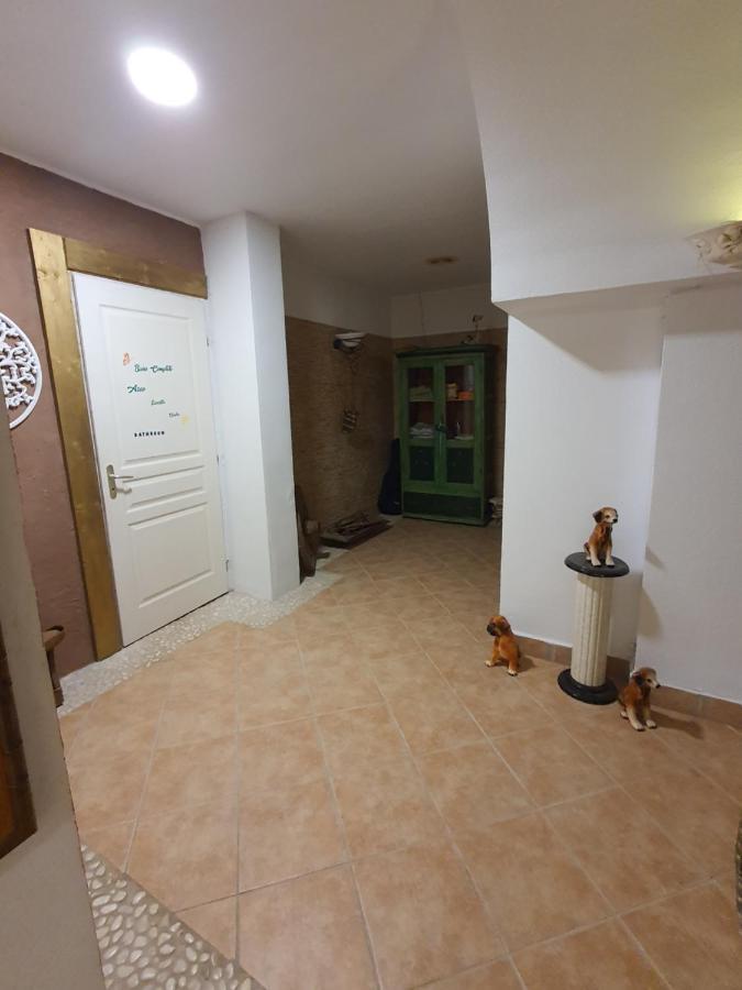 فيلا Casa Alex كوارذامار ذيل سيغورا المظهر الخارجي الصورة
